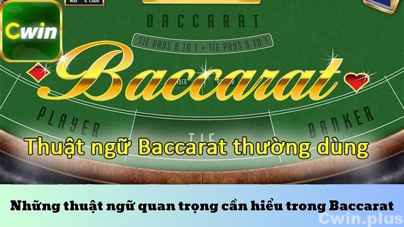 Những thuật ngữ quan trọng cần hiểu trong Baccarat